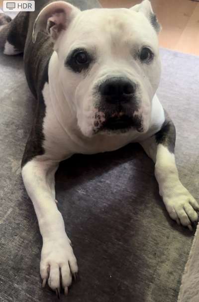 147. Foto Challenge: Bettelblick-Beitrag-Bild