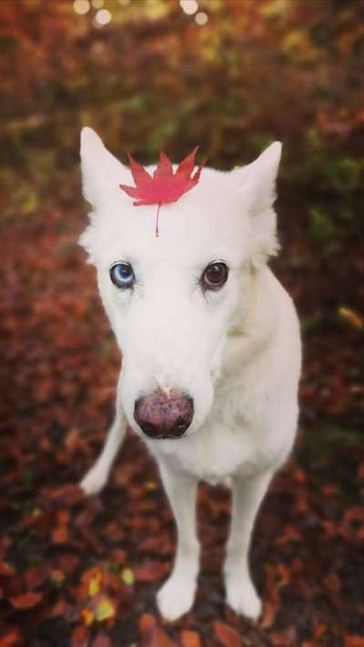 Fotochallange Nr. 57     PORTRÄT.   Beendet!!!!!!!!-Beitrag-Bild