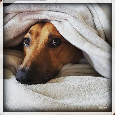 Lieblingsbild :D-Beitrag-Bild