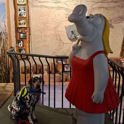 Was hat euch heute gefreut?-Beitrag-Bild