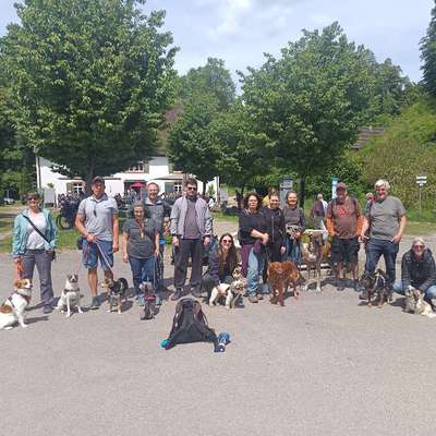 Hundetreffen-Gassirunde-Bild