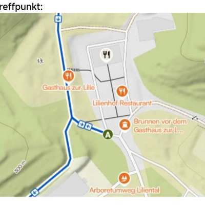 Hundetreffen-Hundewanderung-Bild