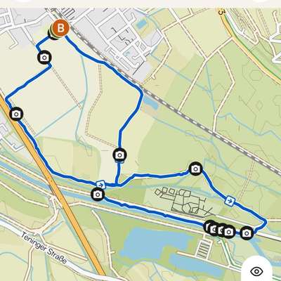 Hundetreffen-Hundespaziergang-Bild