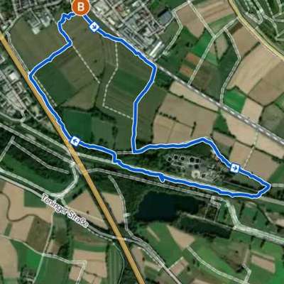 Hundetreffen-Gassitreff-Bild