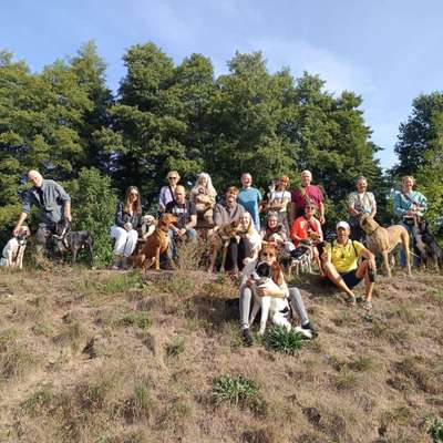 Hundetreffen-Gassirunde-Bild