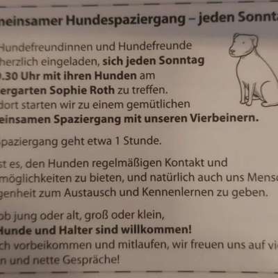 Hundetreffen-Hundespaziergang-Bild