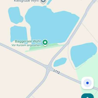 Hundetreffen-Abendliche Gassirunde-Bild