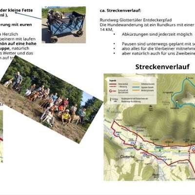 Hundetreffen-Hundewanderung-Bild
