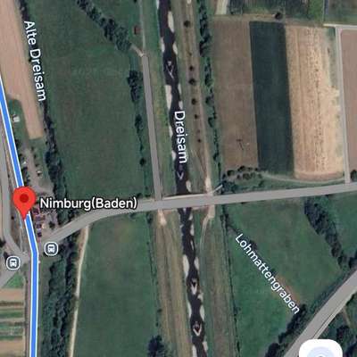 Hundetreffen-Gassirunde-Bild