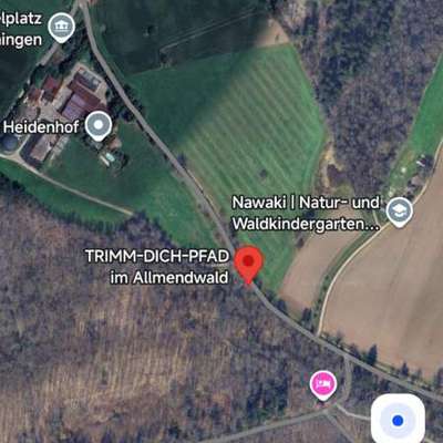 Hundetreffen-Spontane Gassirunde-Bild