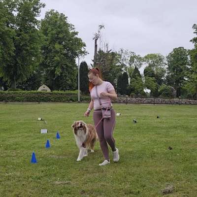Hundetreffen-Rally Obedience-Bild