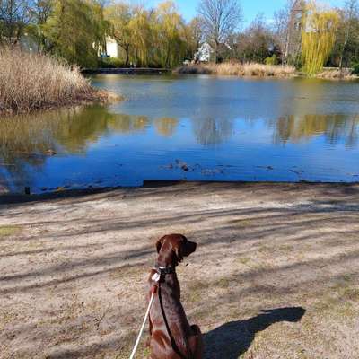 Fotochallenge 78

Es grünt und blüht-Beitrag-Bild