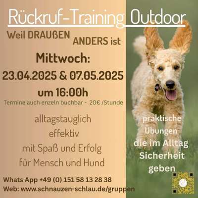 Giftköder-Outdoor Rückruftraining-Bild