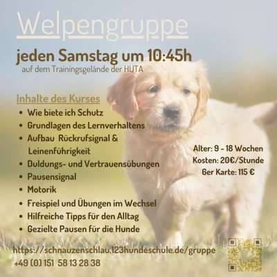 Giftköder-Welpengruppe-Bild