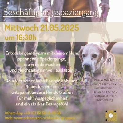 Giftköder-Beschäftigungsspaziergang-Bild
