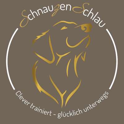 Hundeschulen-Hundeschule SchnauzenSchlau-Bild