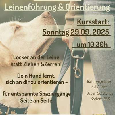 Giftköder-Entspannt an lockerer Leine-Bild