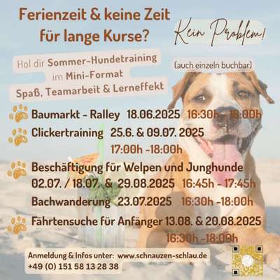 Giftköder-Sommer Special Training, Spaß , Minikurs-Bild