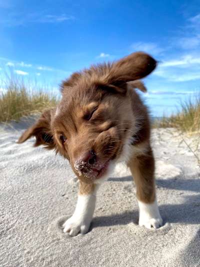 Fotochallenge 78

Es grünt und blüht-Beitrag-Bild