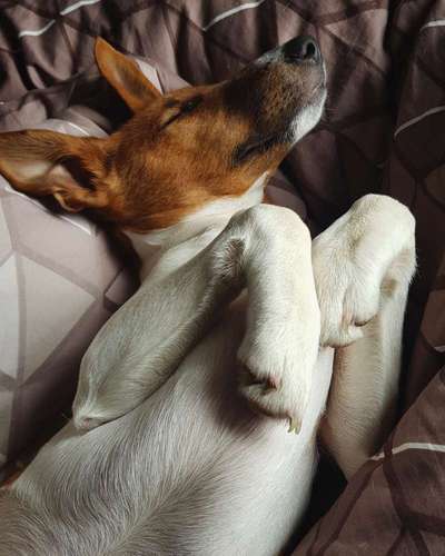 Die unbequemsten und lustigsten Schlafpositionen-Beitrag-Bild