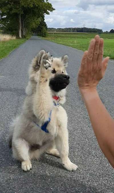 Foto Challenge 3-Beitrag-Bild