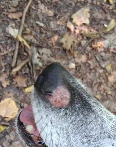 Was kann das sein?-Beitrag-Bild