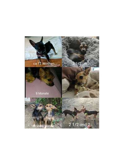 Vorher.... Nachher-Beitrag-Bild