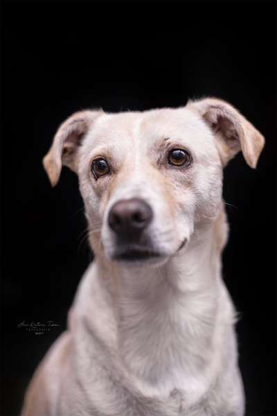 Fotochallange Nr. 57     PORTRÄT.   Beendet!!!!!!!!-Beitrag-Bild