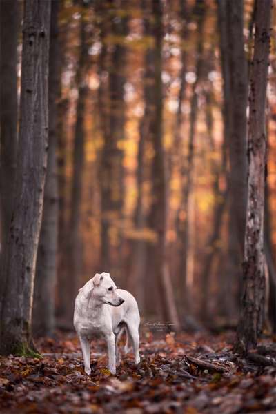 Lieblingsbild-Beitrag-Bild