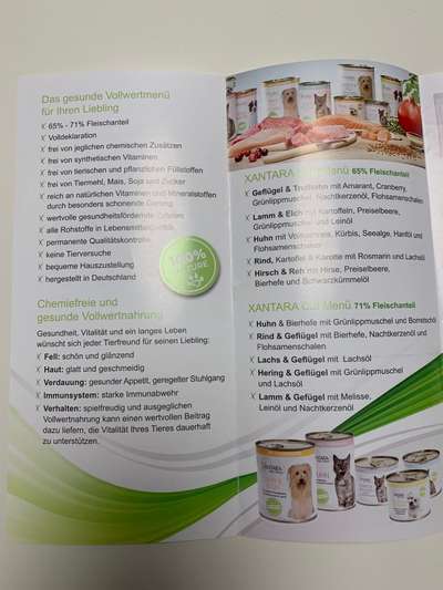 Hochwertiges / Bedarfsgerechtes Nassfutter (ohne Barfen), welches nur?-Beitrag-Bild