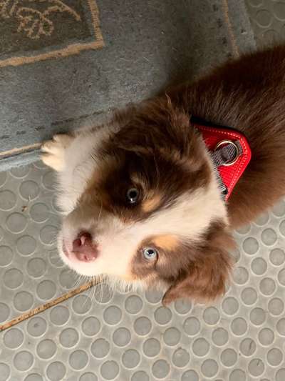 Fotochallange Nr. 57     PORTRÄT.   Beendet!!!!!!!!-Beitrag-Bild