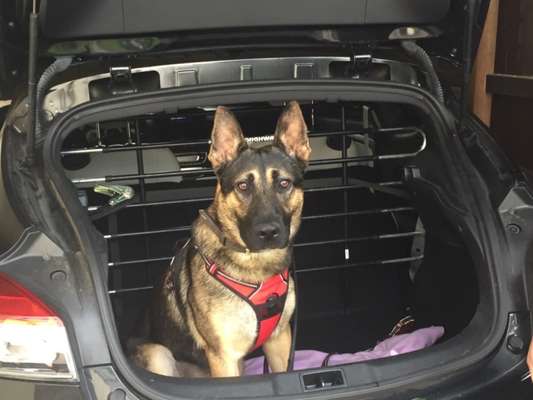 Fotochallange Nr. 57     PORTRÄT.   Beendet!!!!!!!!-Beitrag-Bild