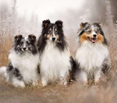 Handy-Foto-Challange Nr. 8-Beitrag-Bild