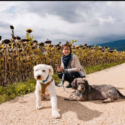 TierschutzhundeStammtisch🐕-Beitrag-Bild
