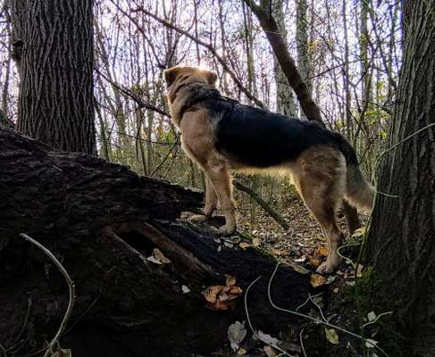 27. Handy Fotochallenge-Beitrag-Bild