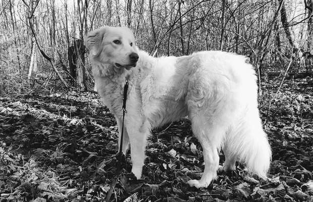 Foto-Challenge 76: Foto in Schwarz-Weiss-Beitrag-Bild