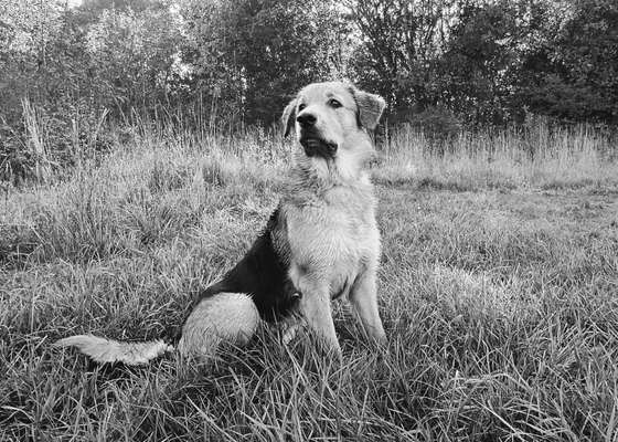 Foto-Challenge 76: Foto in Schwarz-Weiss-Beitrag-Bild