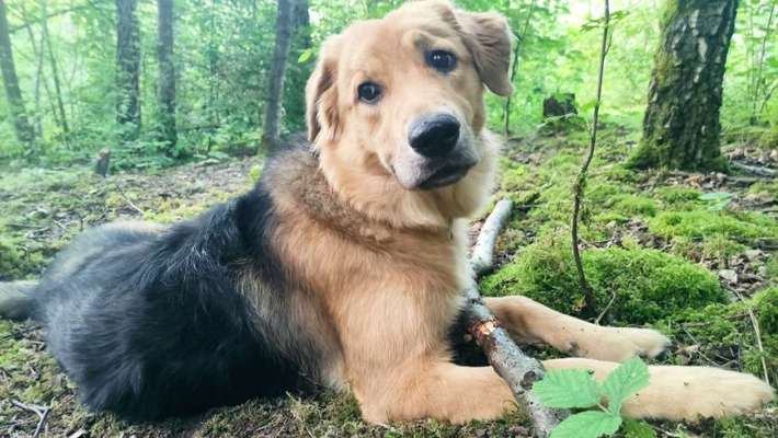 Foto-Challange No.1 - Alles aber nicht die Kamera-Beitrag-Bild