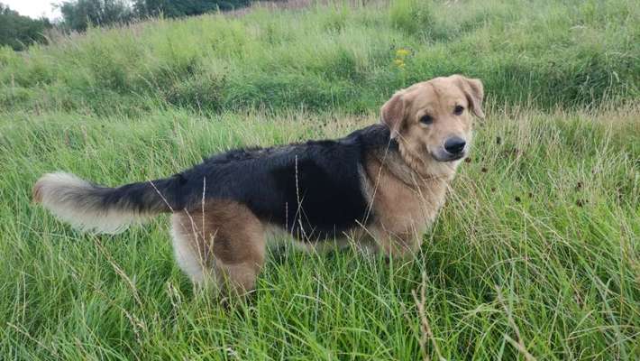 42.Fotochallenge - Eure schönen Momente beim Spaziergang-Beitrag-Bild