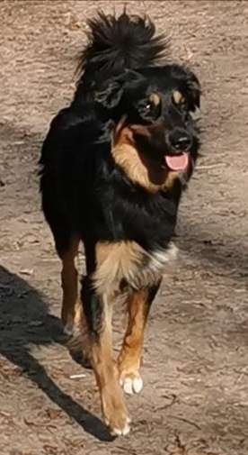 Theos  Fotochallenge Nummer 2-Beitrag-Bild