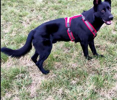 Von Ups-Würfen und der Corona Zeit-Beitrag-Bild