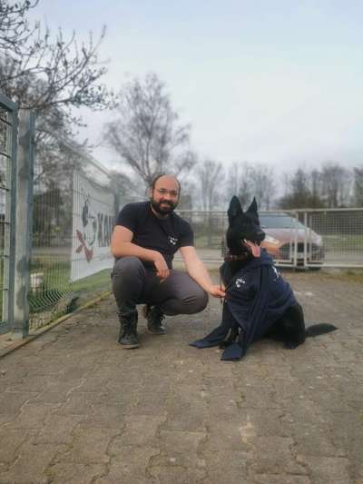 Alles rund um den Schäferhund, diskutieren erwünscht.-Beitrag-Bild