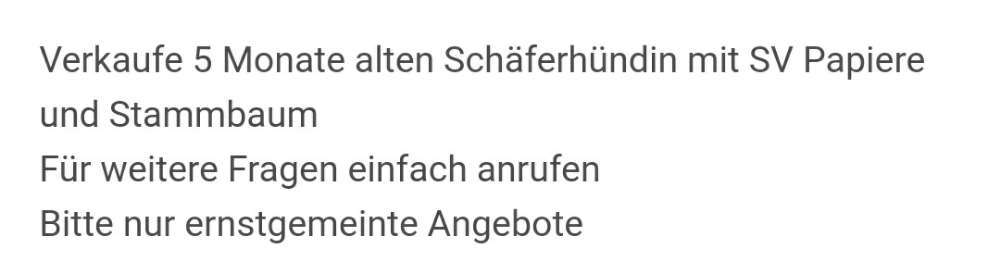 Alles rund um den Schäferhund, diskutieren erwünscht.-Beitrag-Bild