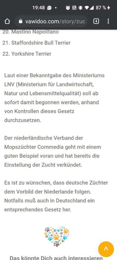 Brachycephale Hunderassen-Beitrag-Bild