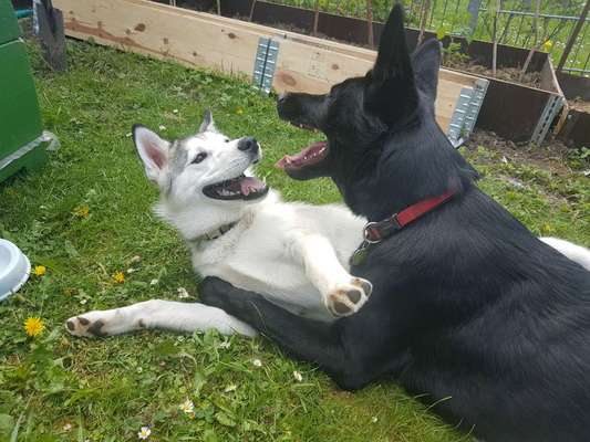 Challenge 30  Freundschaft-Beitrag-Bild