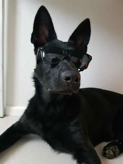 Fotochallenge Nr. 29 - Accessoires-Beitrag-Bild