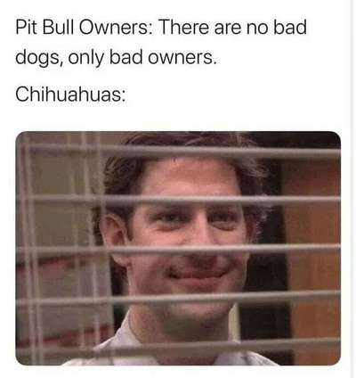 Hunde Memes-Beitrag-Bild