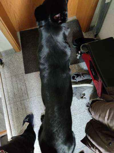 Der Gewichts-Thread-Beitrag-Bild