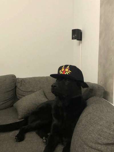 Hier ist der Spaßthread. Zum Schmunzeln und Kaputtlachen-Beitrag-Bild