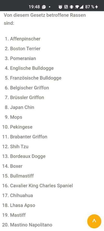 Brachycephale Hunderassen-Beitrag-Bild